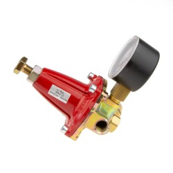 Détendeur butane-propane réglable de 0 à 6 bar avec manomètre